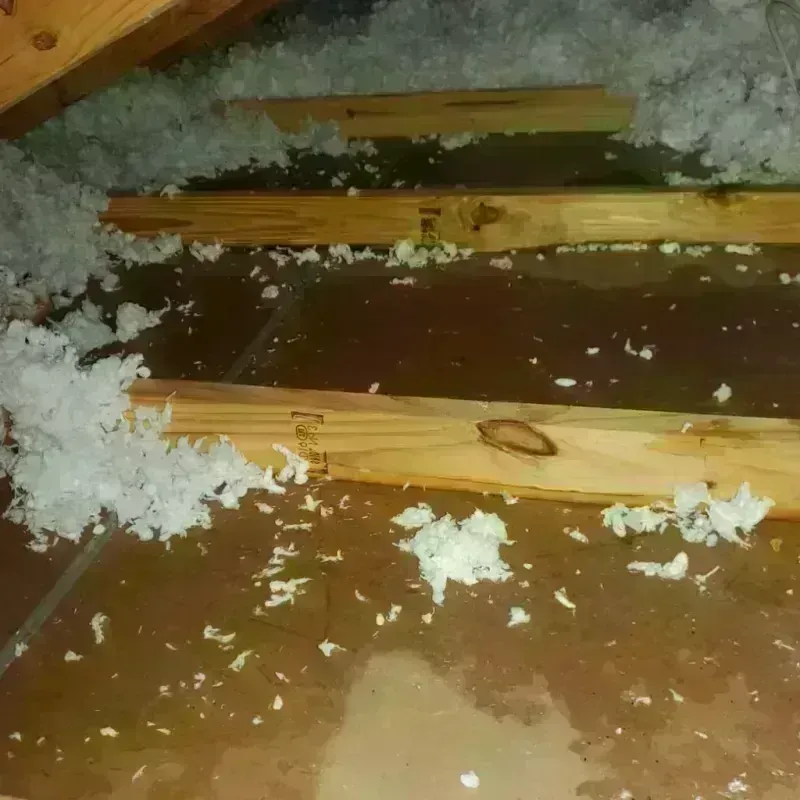 Attic Water Damage in Mansfield Center, MA